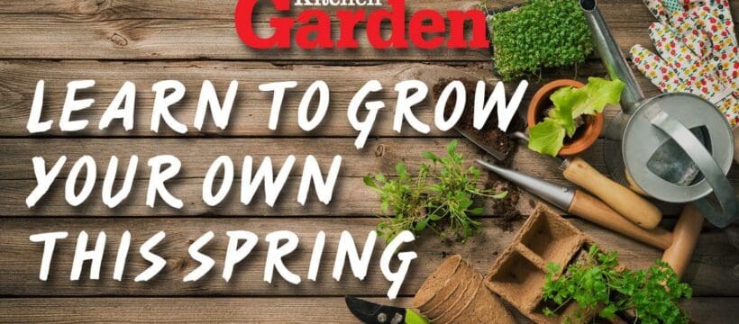 Learn to grow your own veg with help from Kitchen Garden magazine