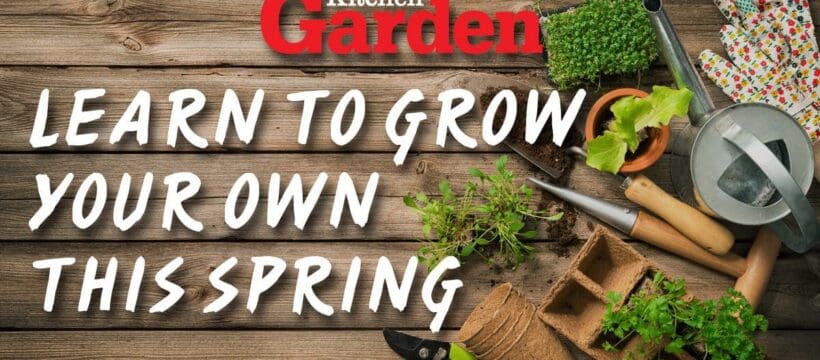 Gardening tools, seeds and soil on wooden table. Spring in the garden